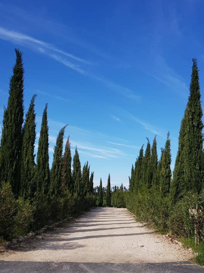 Le Mas Saint Jean Mézoargues المظهر الخارجي الصورة